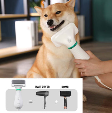 2-in-1 Pet Hair Dryer & Grooming Brush