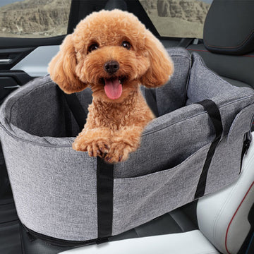 Outdoor Pet Kennel