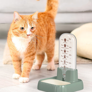 Automatic Cat & Dog Water Fountain