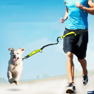 Multifunctional Reflective Telescopic Dog Leash