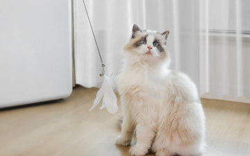 Interactive Pet Toy for Dogs & Cats