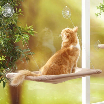 Cat Window Hammock