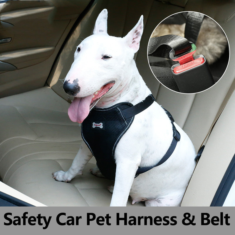 Comfortable Pet Car Seat Belt with Massage Cushion